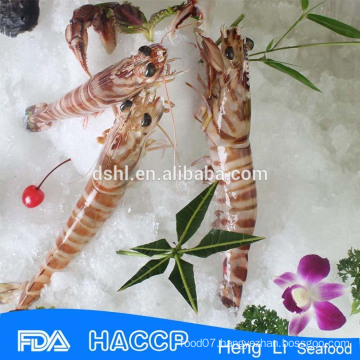 HL002 frozen head-on shell-on shrimp for sales 2015
